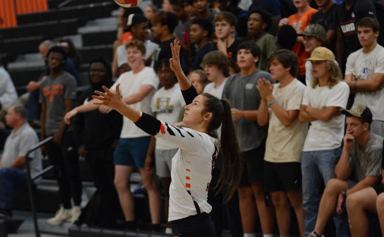 Senior Lillie Kate Rogers serves the ball into play in front of a packed out student section in the Dog Pound. As the Volley Dogs beat Monroe Area in two sets (25-4) and (25-19), but fell to Hebron Christian in three sets by scores of (25-23), (23-25), and (15-17) Sept. 19.