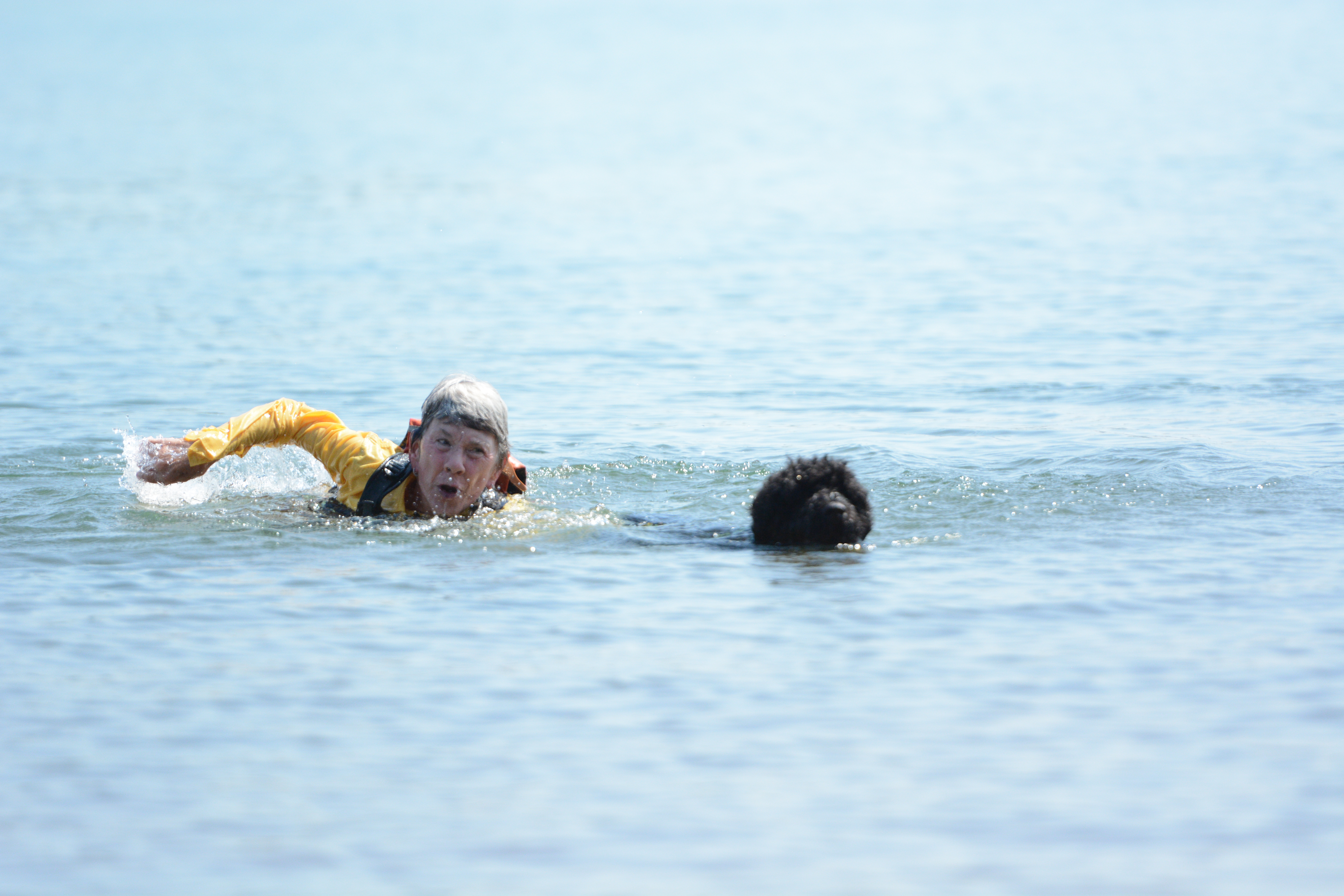 Morgan Jennings, PWD trainer from Asheville, North Carolina, swimming with Jato, a 3-year-old male Junior PWD at the United Sunshine States Portuguese Water Dog Club (USSPWD) water trials at Lake Hartwell on Sunday. (Photo/Adriana Cascio)