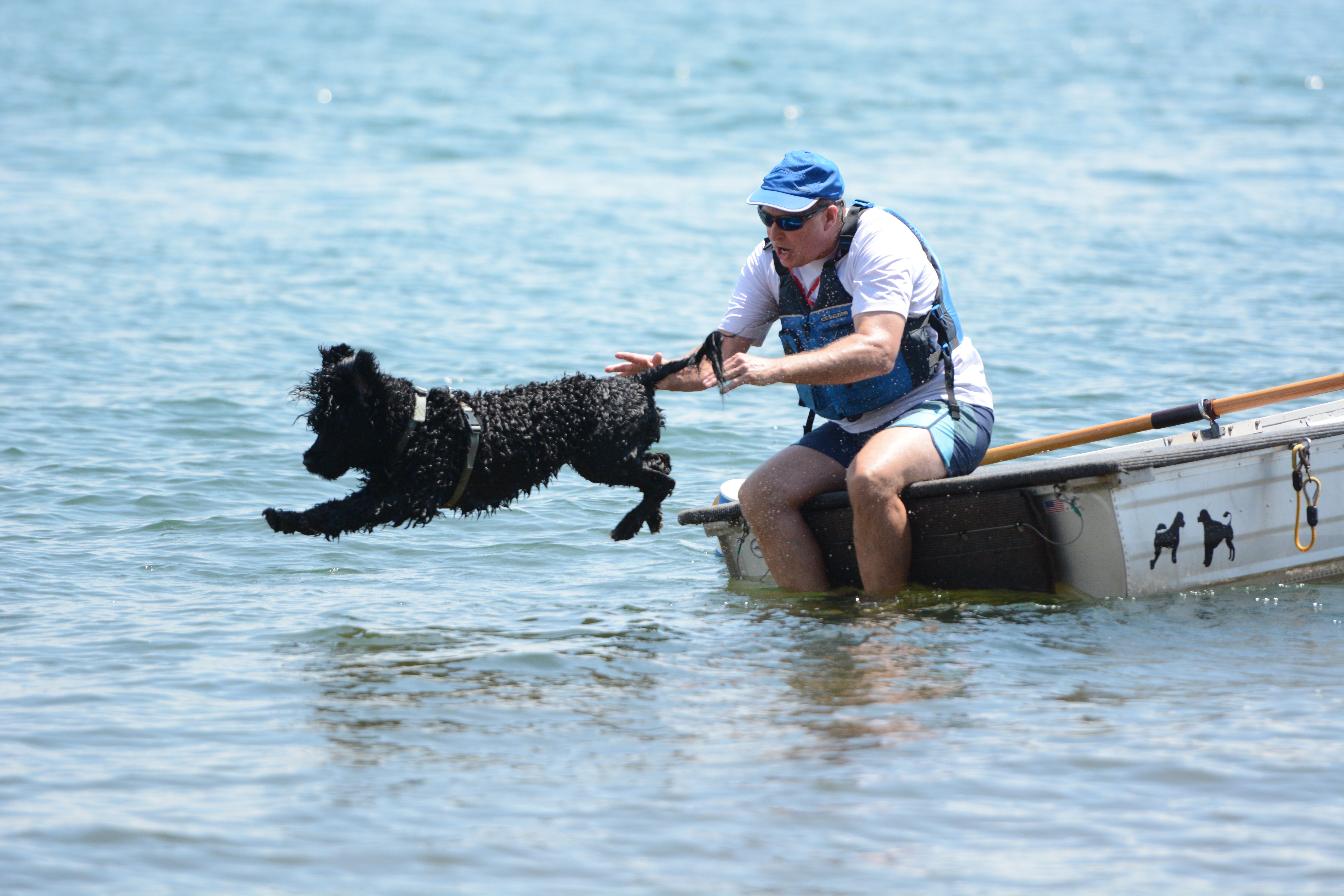 Michael Smith, PWD trainer from Clearwater, Florida, instructs Remy, an 18-month-old male Working PWD, to jump into the water. (Photo/Adriana Cascio)