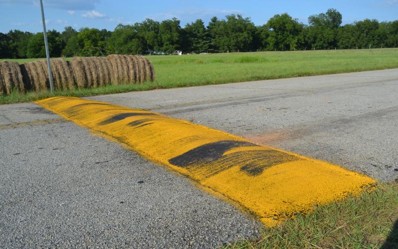 A group of speed bumps on East Main Street in Bowersville is raising the ire of some local folks.