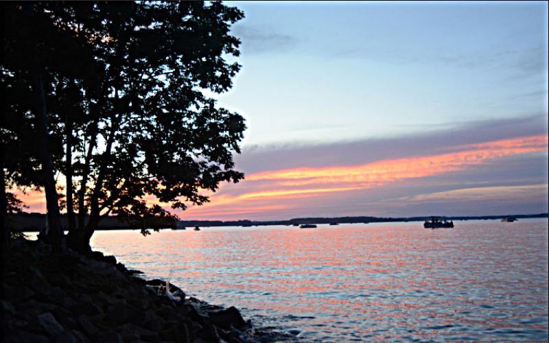The Lake Hartwell shoreline