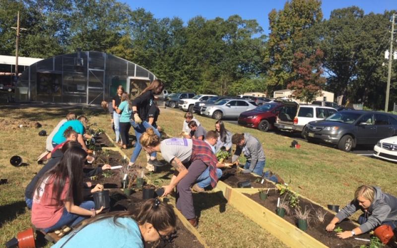 Hart County students and representatives from the State Botanical Gardens plant native plants recently.