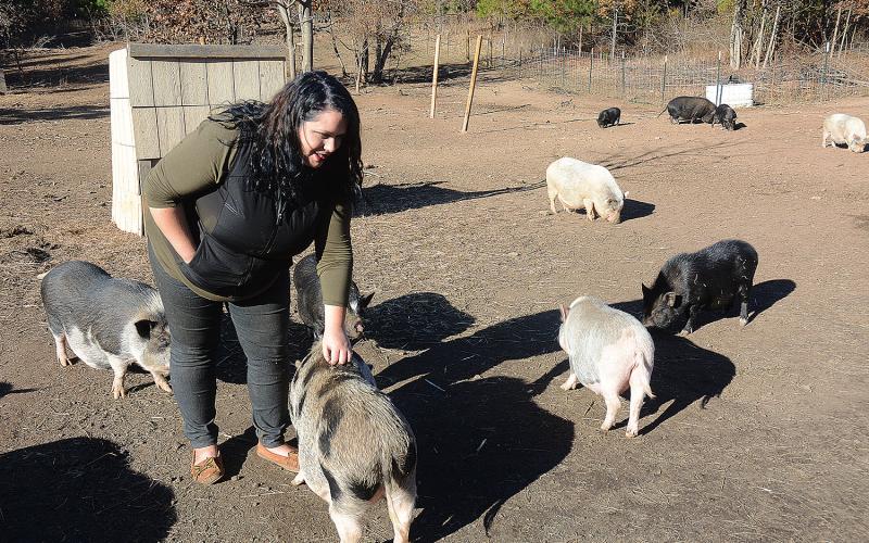 Corrine Baker pets pot-bellied pigs at Outsiders Farm and Sanctuary in Hart County, a farm where pigs originally bought as pets are rescued from bad situations.