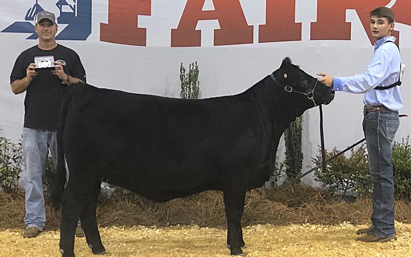 Photo provided — Livestock like this, with which Hart County Middle School student Trey Chafin, right, won 8th Grade Beef Cattle Showmanship at the Georgia National Fair, will come to Hartwell several times for shows during the next month at the AgriScience Center..