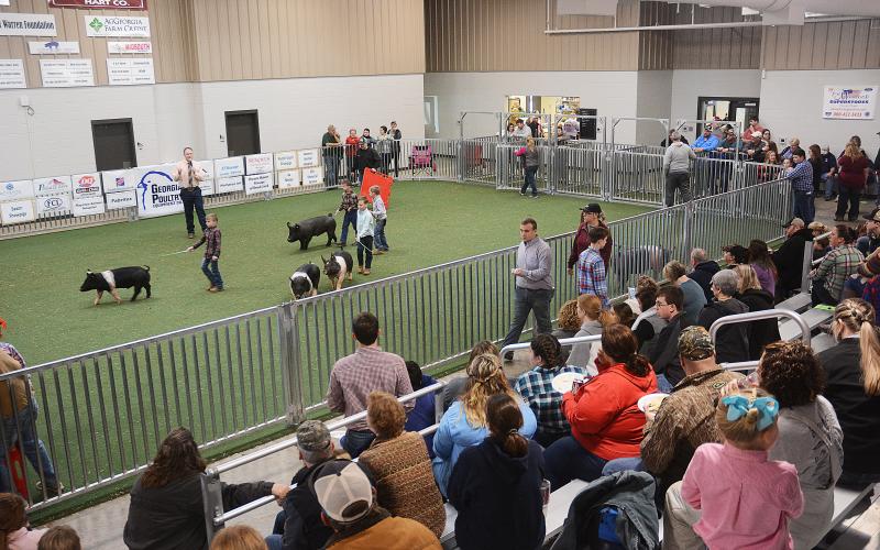 Sunshots from file - The Hart County AgriScience Center is packed with spectators as young children take to the show floor at the Lake Hartwell Pig Classic earlier this month. Below, Rachel Mize, left, and Ava Carnes, work together to prepare Carnes’ pig Eugene for competition at the Lake Hartwell Pig Classic.