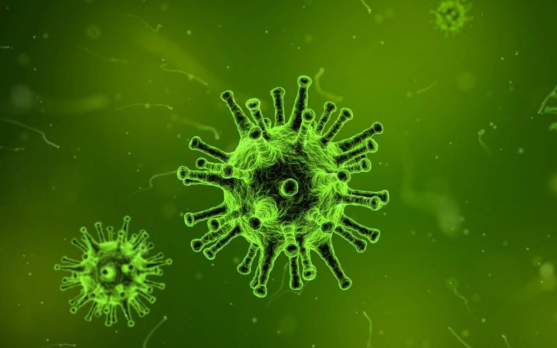 The flu shot is crucial this year as the flu hits hard.