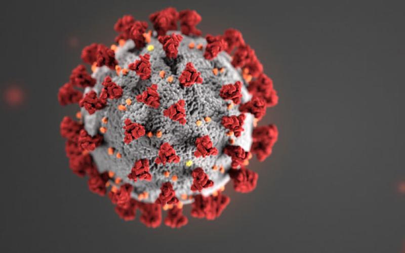 virus