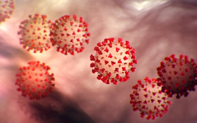 virus