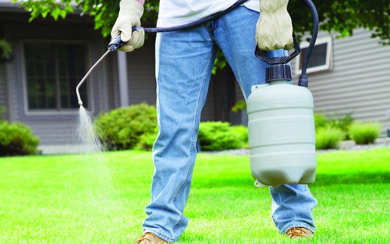 Weed control