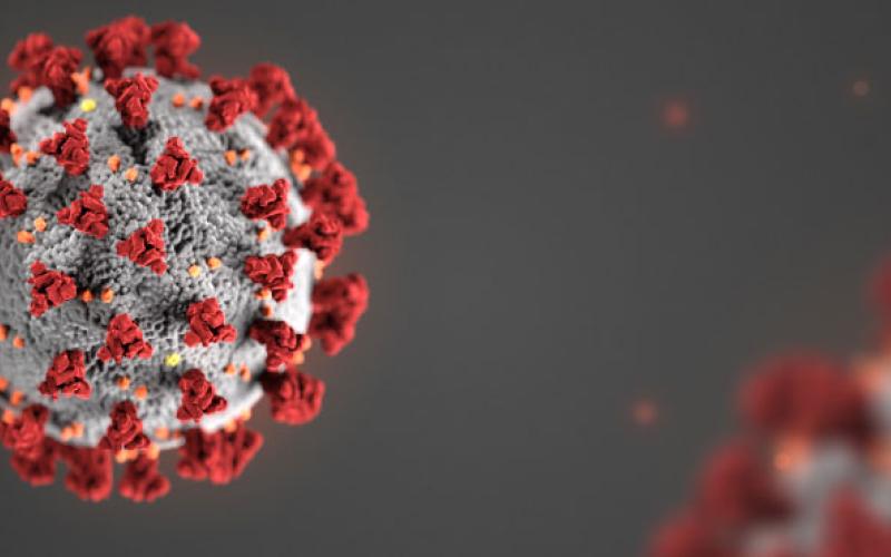 Virus