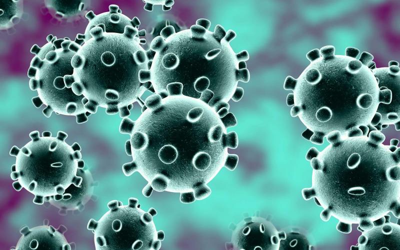 Virus