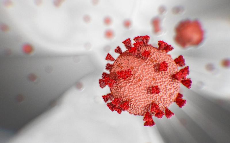 Virus