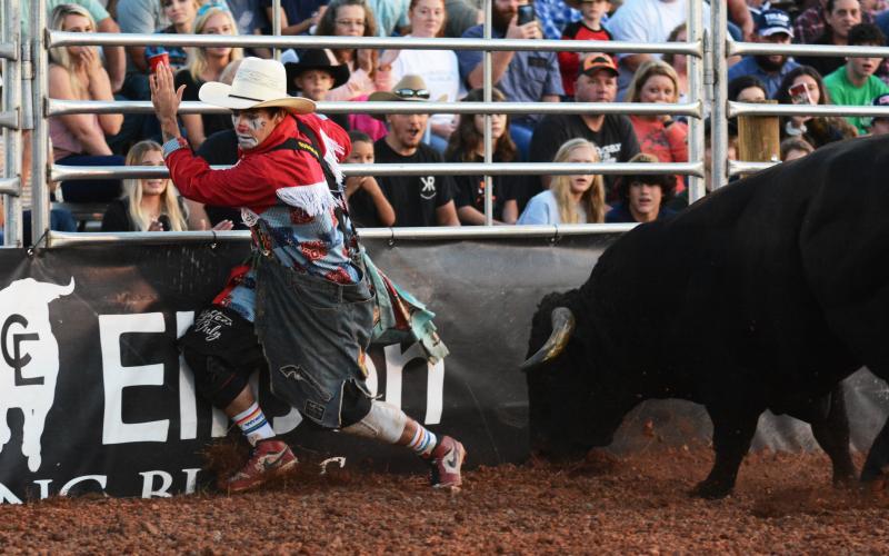 Knox Dunn, of Slaughter, La., tries to avoide a bull’s horns.