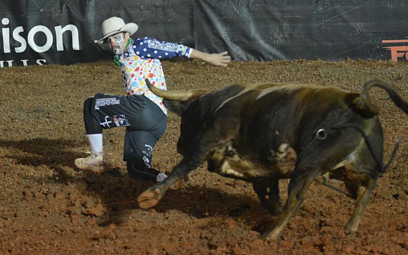 Beau Scheuth, of O’Neill, Neb., stumbles as he tries to evade a charging bull during the UBF Southern Classic in Bowersvile on Saturday, Sept. 26.