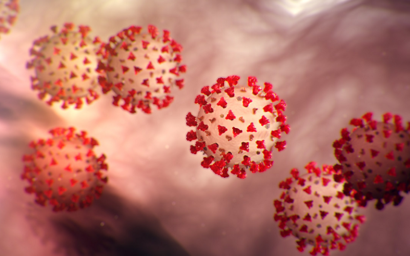 Virus