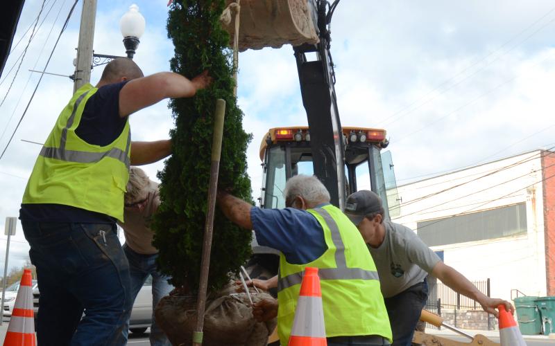 Chapman, Nadeau and Clark plant the tree while Jason Ford, economic development director for the city, and Wise monitor.