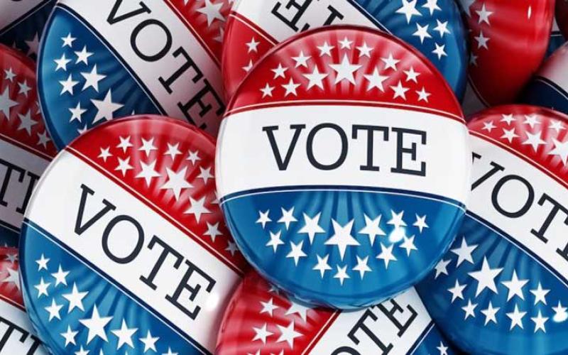 vote
