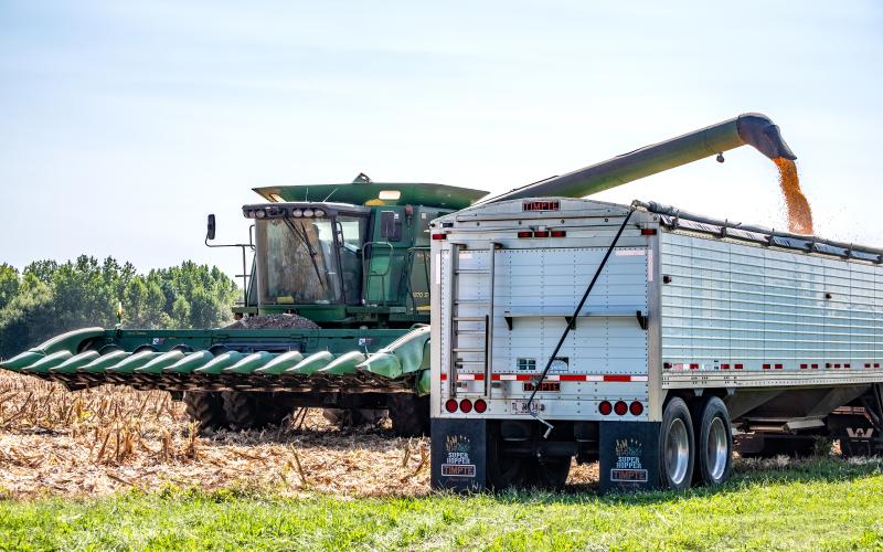 Sunshot from file by Bill Powell - Hart County farmer David King and his crew harvest corn on Labor Day in Hart County.