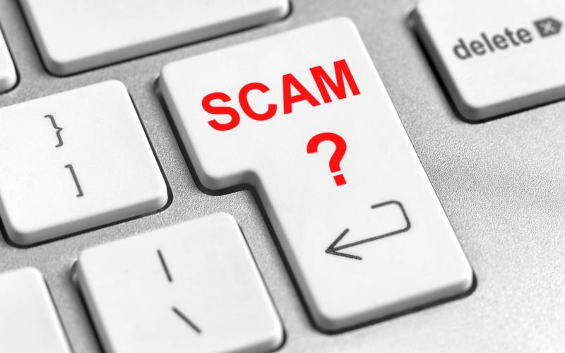 Scammers are on the hunt for victims