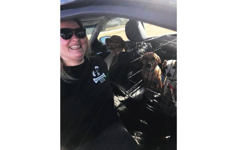 Tiffany Counts, left, poses for a photo with the three dogs she is fostering through Hart County Animal Rescue and taking twice a week to South Carolina for special treatment designed to help them regain the use of their legs.