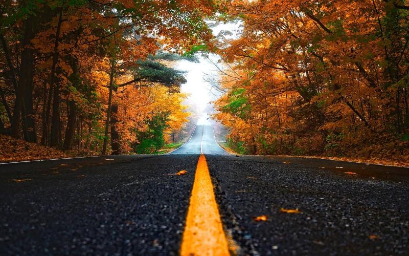 Roads (Stock photo)