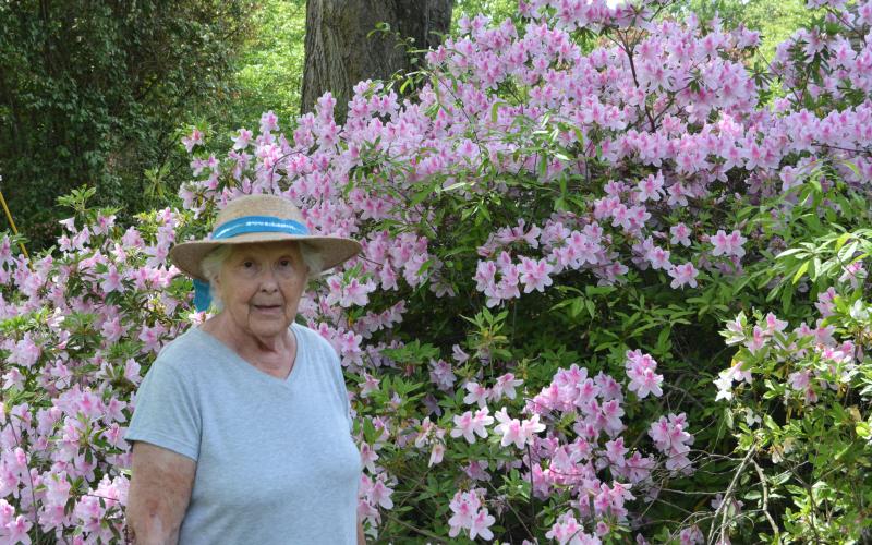 Drew Dotson/The Hartwell Sun Marti Cox poses in front of one of the 300 azaleas shrubs around her home on Benson Street.