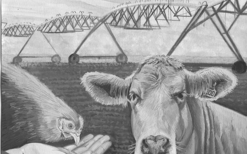 Submitted photo - Pictured is Sydney Smith’s submitted drawing which won her the art contest.