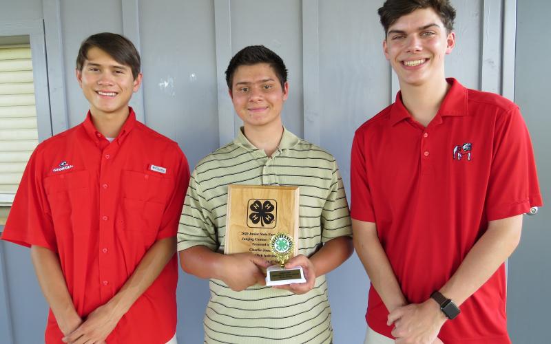 Submitted photo - Pictured left to right Ben Tellano, Charlie Jones and Adam Walters, are all recognized for placing at the Hart County 4-H annual awards program.
