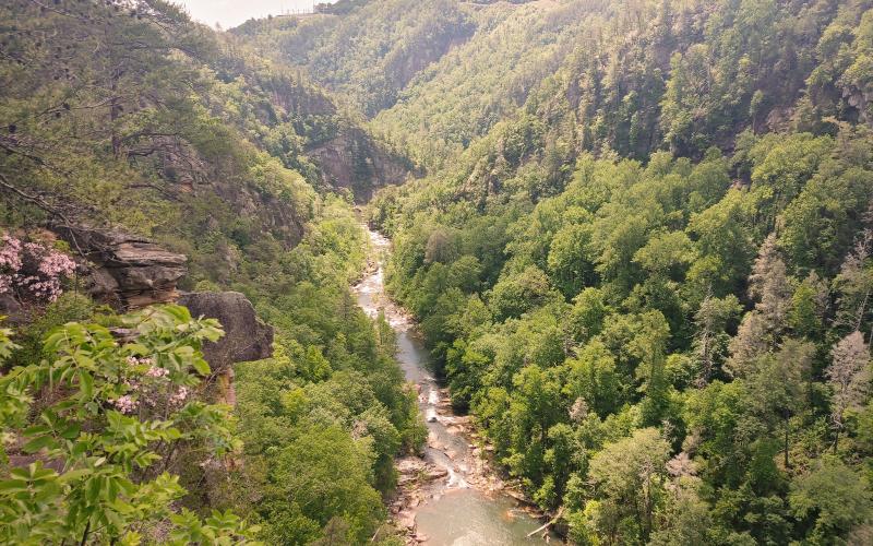 Dan Hunt/The Hartwell Sun - A view from above the Tallulah Falls Gorge.