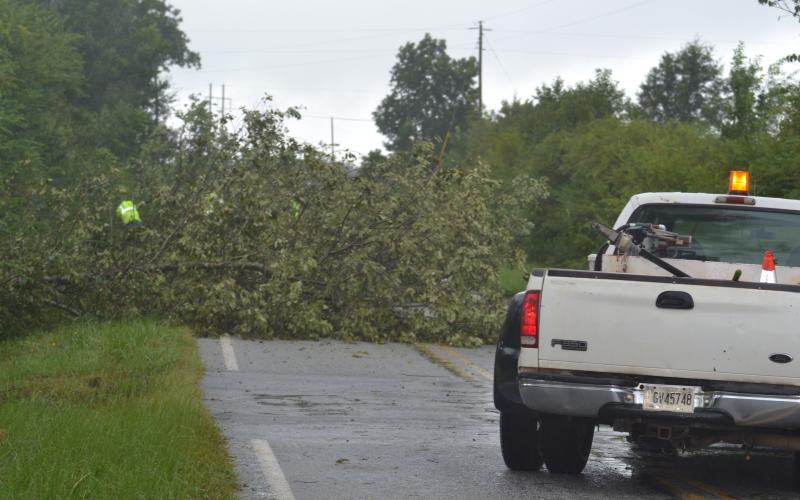 A tropical depression rolled through Hartwell Tuesday and caused little reported damage. One exception was at Seed Cleaner Road off Royston Highway, seen above, where five tress had fallen into the road. Contractors had removed the trees by midday Tuesday.