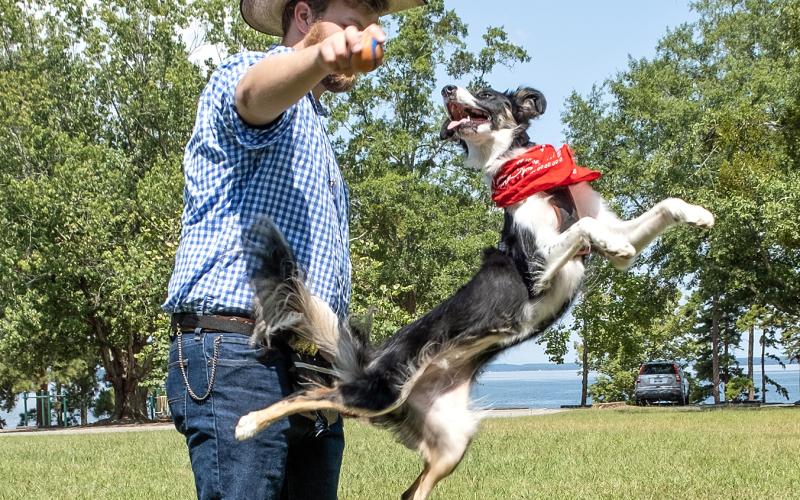 Bailey, who won Best in Show on Saturday, shows off her athletic ability with owner Michael Ruff.