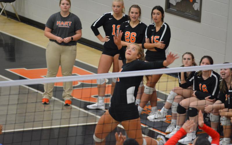 Dakota Phillips goes for the kill against Stephens County at the Volleydogs’ last home match on Sept. 14.