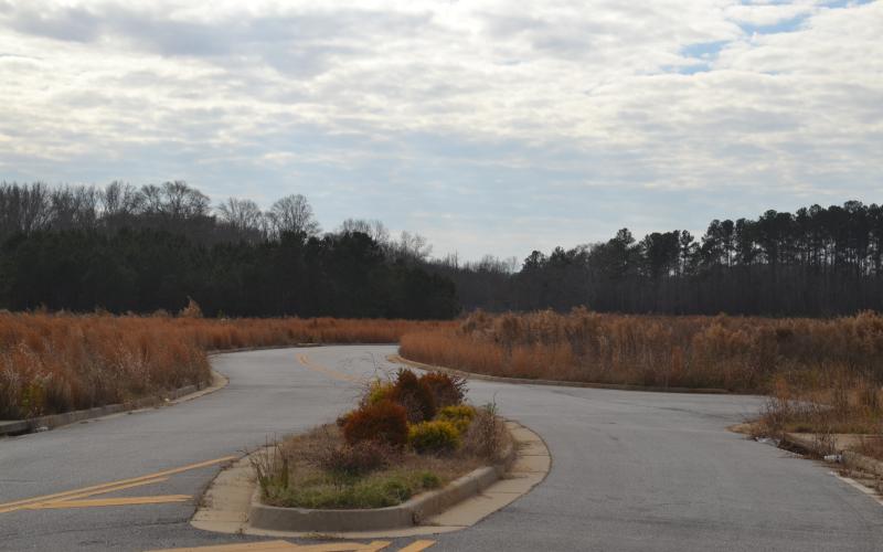 A view of a small portion of the 46.53-acre lot at Oakview Crossing.