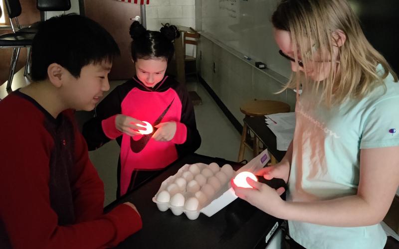 Photo submitted - Pictured from left to right are Hart County Middle School students Allen Bui, Kennedy Irby, and Kyleigh Adams learning how to candle eggs to check for interior quality.