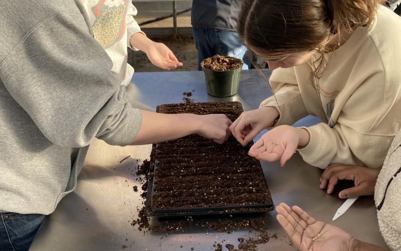 Photo submitted - HCHS students Madison Cook, left, and Sidny Hackett, right, sow seeds in a horticulture class.