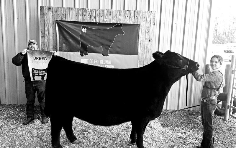Hart County High School student Ashlyn Floyd won Grand Champion Angus Heifer.