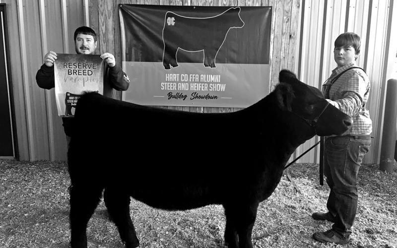 John Payne Sewell won Reserve Champion Commercial Heifer.