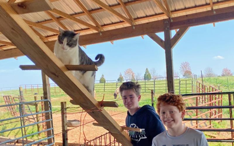 Sista cat is a good climber, but getting down is an issue for her. Twice I’ve been lifted in the tractor’s bucket to retrieve her.  And twice, out of reach, she had to spend the night in the top of the barn. The problem is solved. Grandsons William, left, and Fenn NeSmith helped build Sista a ladder.