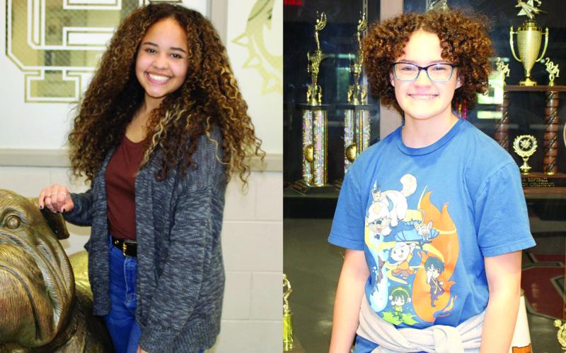 Hart County High School 10th grader Trinati Pinkston, left, and Hart County 7th grader Katie Ripley have been selected as statewide winners of the Young Georgia Authors competition.