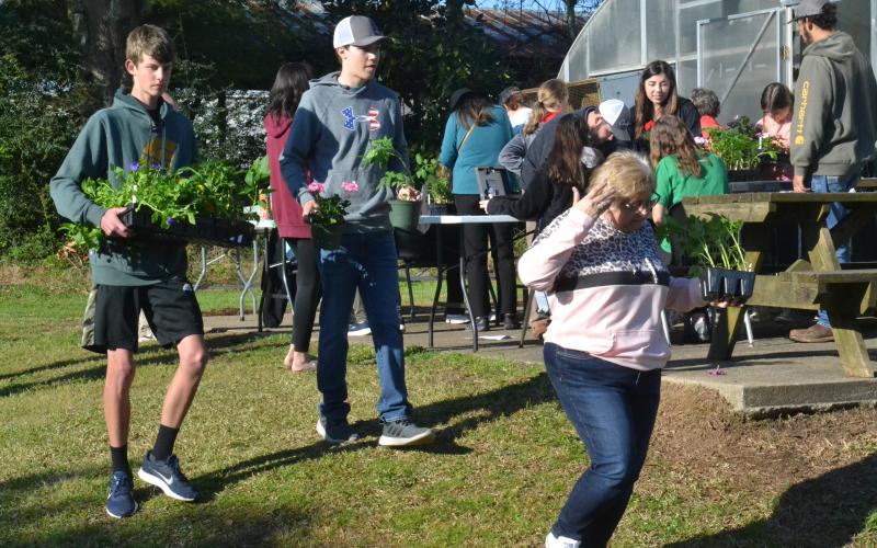 FFA students Jackson Daniel and Landon Bannister help a customer  by bringing her purchased plants to her car at the annual FFA plant sale held Friday.