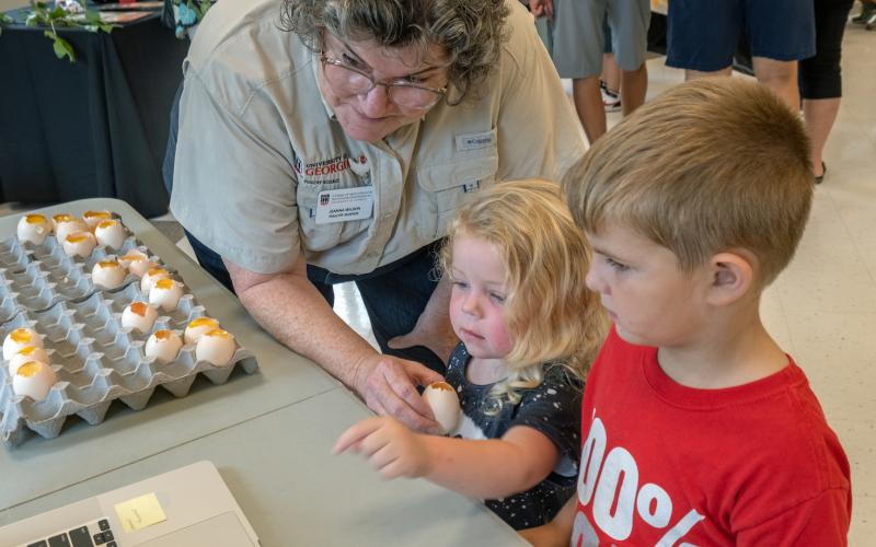 Dr. Jeanna Wilson, Professor in the Department of Poultry Science at the University of Georgia, demonstrates the fertilization of chicken eggs which leads to a chicken hatching 21 days later. Hadley Simpson, 3, and Hudson Saylors, 5, get a free lesson.