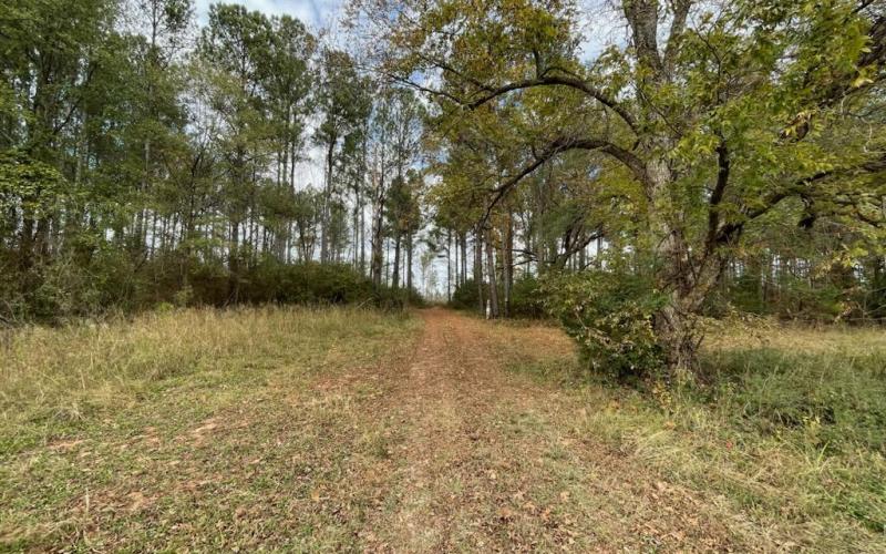 The plot of land between Fairview Ave and Liberty Hill Road where the 650 subdivision complex is to be built.
