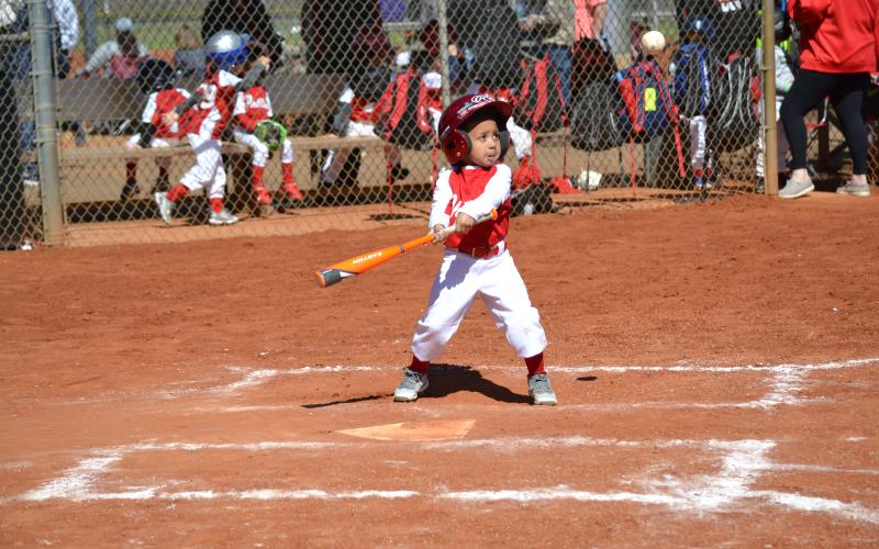 Pictured is Brayden Walker swinging while keeping his eye on the ball.