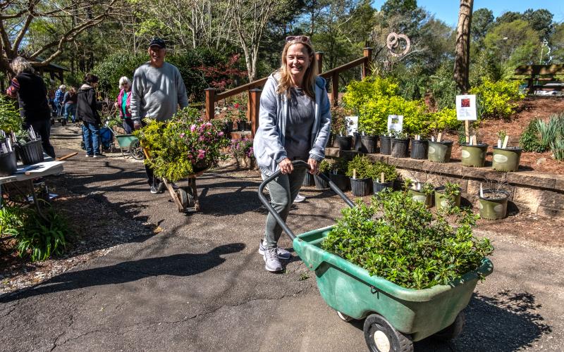 The annual Hart County Botanical Gardens plant sale will take place Saturday, April 15 from 9 a.m. to 3 p.m. variety of plants, shrubs, natives, perennials, and annuals, including some unusual and difficult to find offerings will be featured. This year a sizable selection of transplants from Friends of the Garden’s yards will be offered at very reasonable prices.