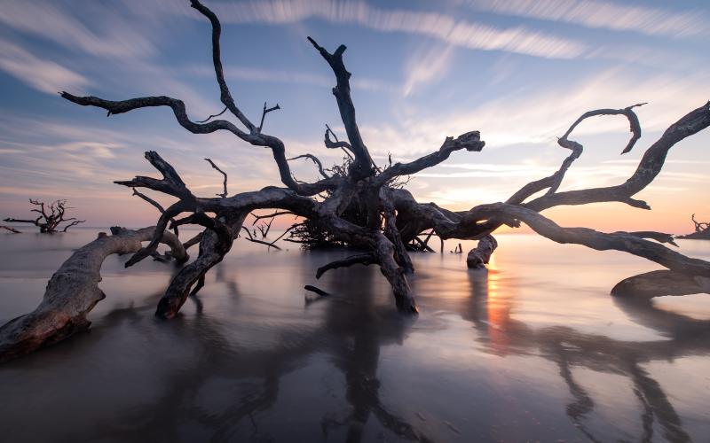 Photo by Elan smith