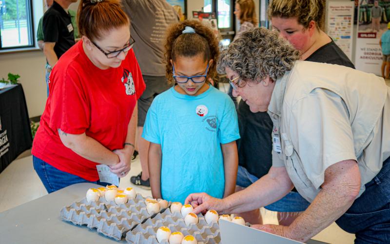 UGA Professor Jeanna Wilson, right, demonstrates the embryonic progression of fertilized chicken eggs during a previous year’s Northeast Georgia Ag Expo.