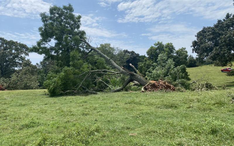 A straight-line wind event did severe damage on Saturday evening along Highway 77. The storm ripped the roof off of the Hicks family barn and destroyed a large number of trees.