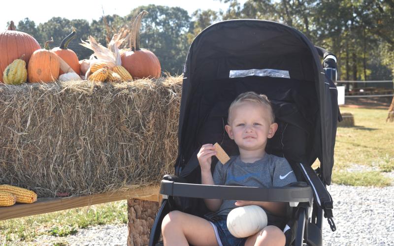 Anson Reno picked out his very own pumpkin during the Fall Harvest Festival at The Big Hart Farm.
