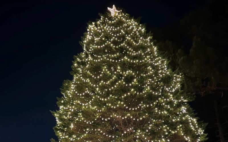 The lighting of the Campbell Christmas tree at 840 E Franklin St.  in Hartwell