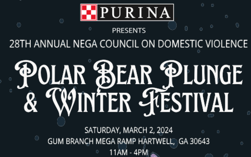 Polar Bear Plunge &amp; Winter Festival
